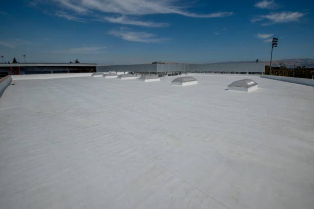 Best Roof Maintenance and Cleaning  in Westworth Village, TX