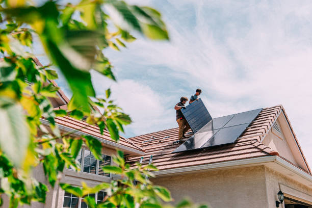 Roof Moss and Algae Removal in Westworth Village, TX